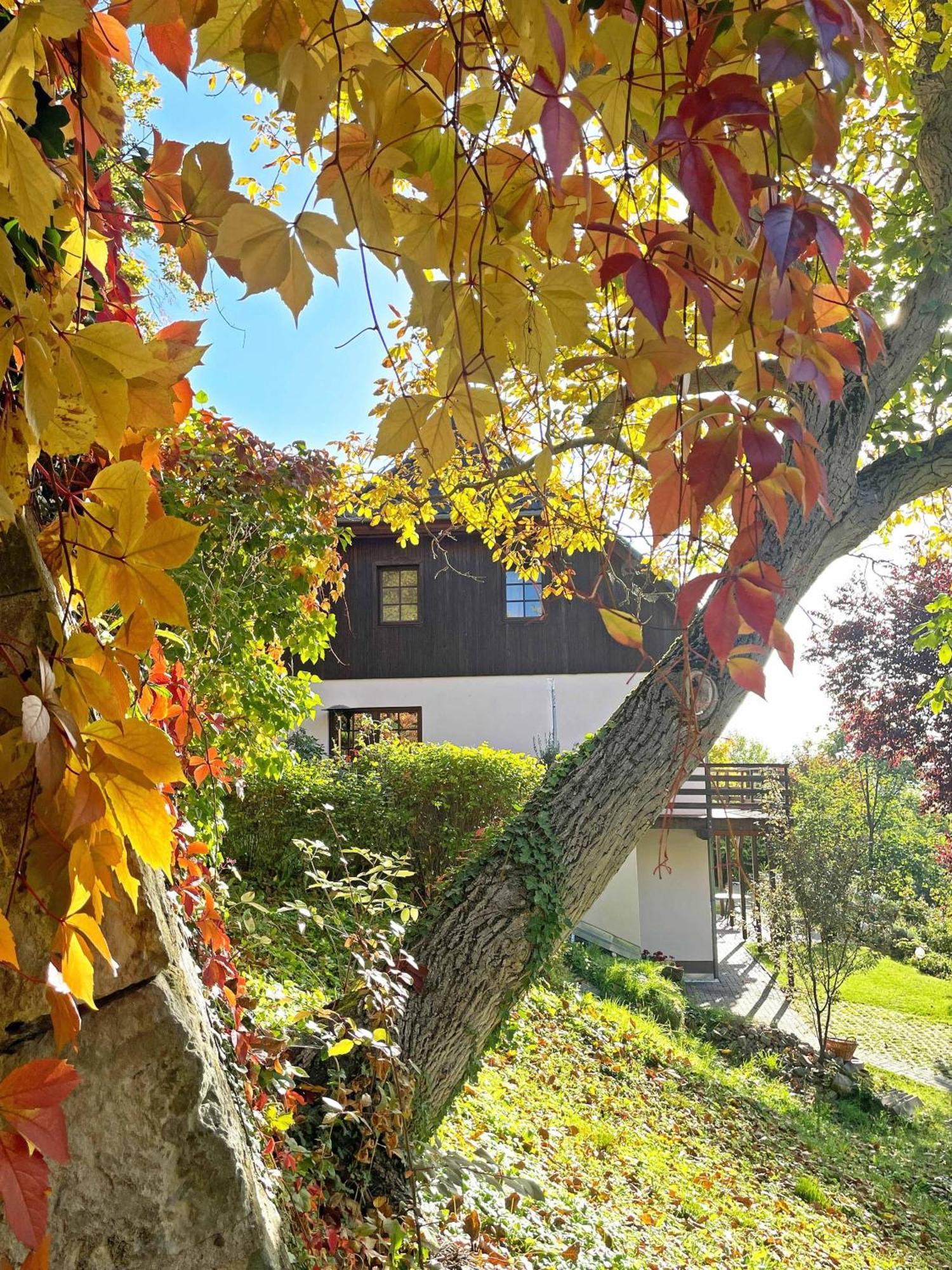 Ferienwohnung-Am-Suedhang Muglitztal Exterior photo